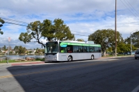 BYD wyprodukował już ponad 1000 autobusów elektrycznych