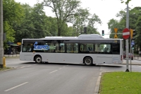 BYD wyrugowany przez KIO z przetargu na autobusy elektryczne dla Warszawy