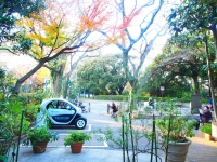 Nissan przedłuży projekt Choimobi Yokohama na kolejny rok ale zmienia ofertę